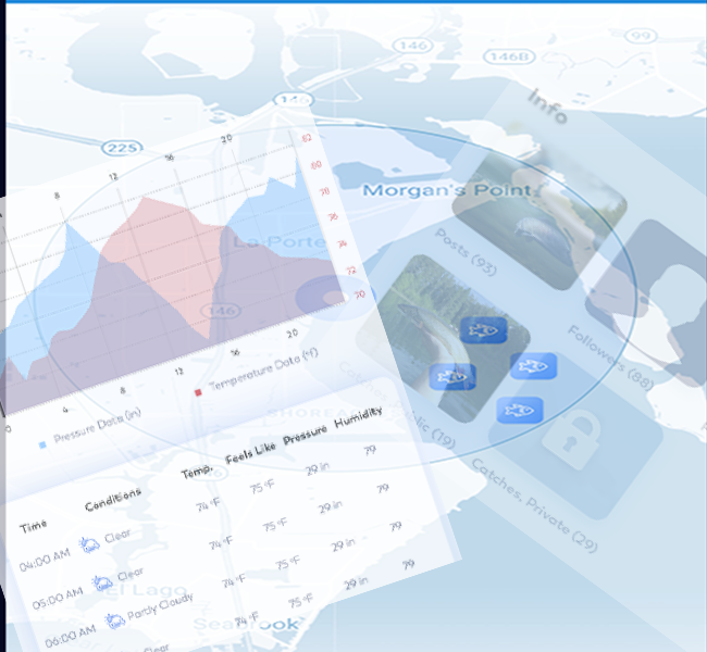 portfolio item photo