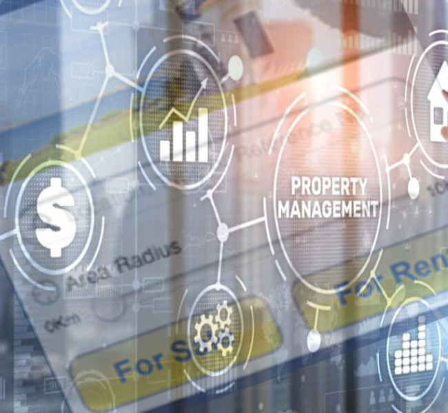 portfolio item photo