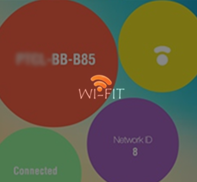 portfolio item photo